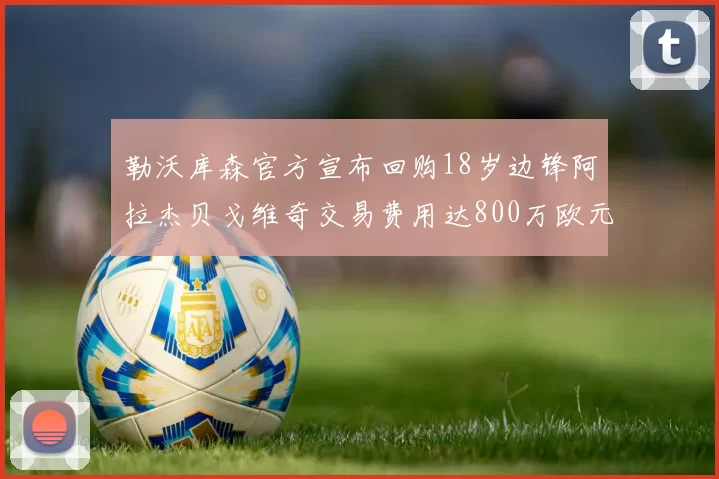 勒沃库森官方宣布回购18岁边锋阿拉杰贝戈维奇交易费用达800万欧元